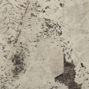 Aspen White